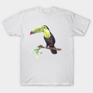 Watercolor Toucan Bird T-Shirt